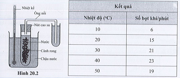 SBT Khoa học tự nhiên 7 Bài 20: Thực hành về quang hợp ở cây xanh - Cánh diều (ảnh 1)