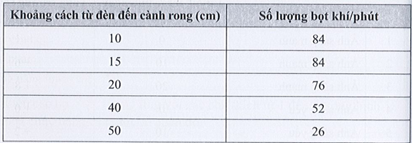 SBT Khoa học tự nhiên 7 Bài 20: Thực hành về quang hợp ở cây xanh - Cánh diều (ảnh 1)