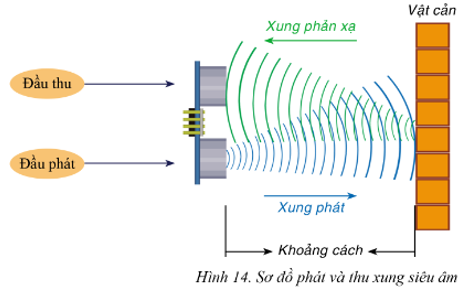 Chuyên đề Tin học 10 Bài 2: Robot giáo dục - Cánh diều (ảnh 1)