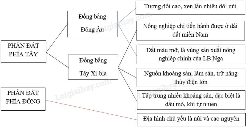 SBT Địa lí 11 Bài 8 Tiết 1: Tự nhiên, dân cư và xã hội | Giải SBT Địa lí lớp 11 (ảnh 2)