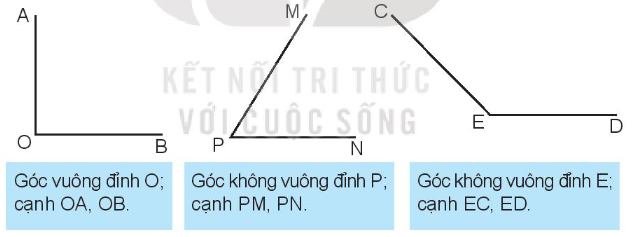 Lý thuyết Góc, Góc vuông, góc không vuông (Kết nối tri thức 2022) hay, chi tiết | Toán lớp 3 (ảnh 2)