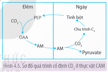  (ảnh 6)