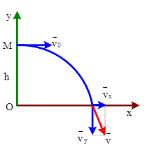 Các bài tập ném ngang (ảnh 2)