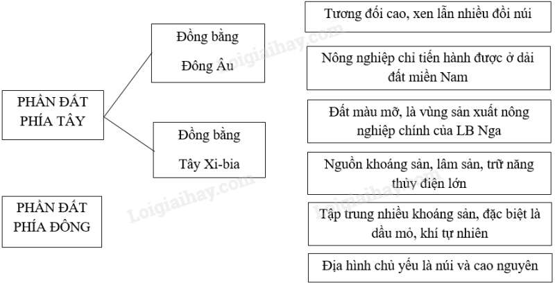 SBT Địa lí 11 Bài 8 Tiết 1: Tự nhiên, dân cư và xã hội | Giải SBT Địa lí lớp 11 (ảnh 1)