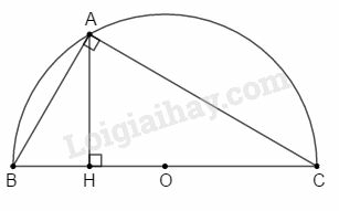 SBT Toán 9 Ôn tập chương 4: Hình trụ - Hình nón - Hình cầu | Giải SBT Toán lớp 9 (ảnh 1)