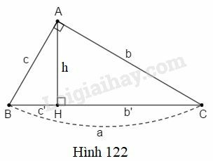 SBT Toán 9 Phần hình học: Ôn tập cuối năm | Giải SBT Toán lớp 9 (ảnh 1)