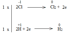  (ảnh 16)