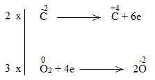  (ảnh 20)