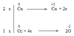  (ảnh 3)