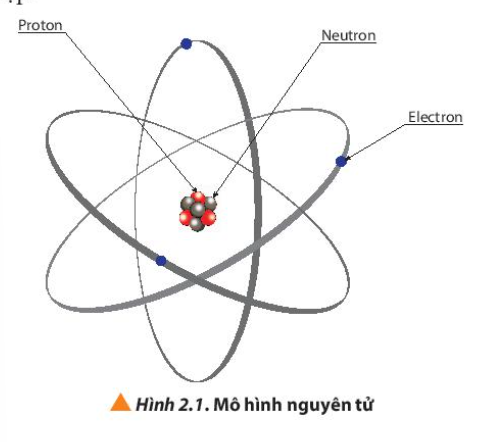  (ảnh 1)