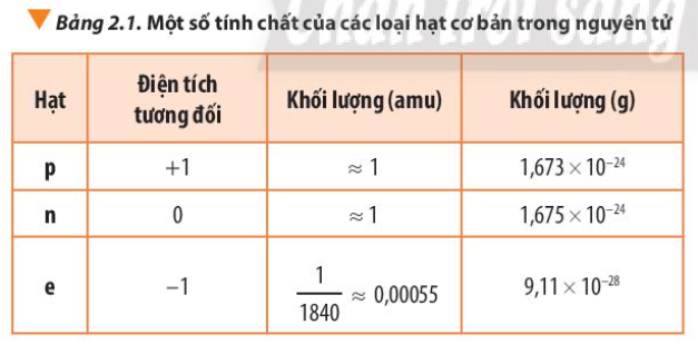  (ảnh 3)