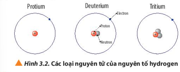  (ảnh 1)