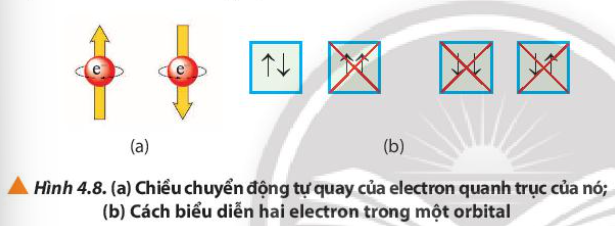  (ảnh 1)