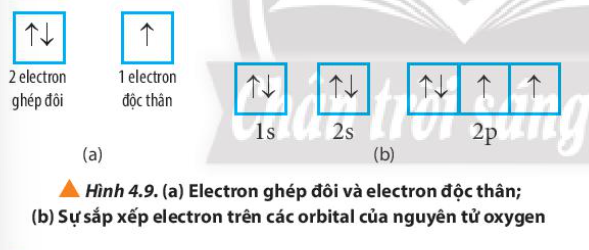  (ảnh 1)