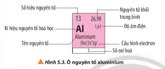  (ảnh 1)