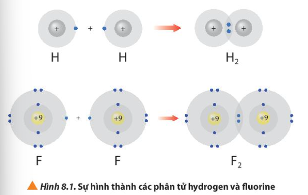  (ảnh 2)