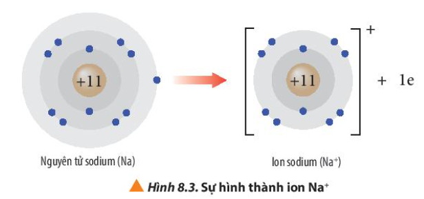  (ảnh 10)