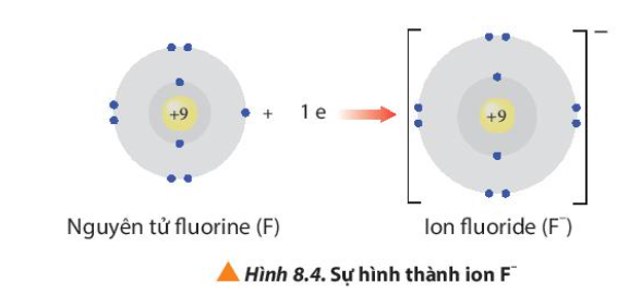  (ảnh 11)