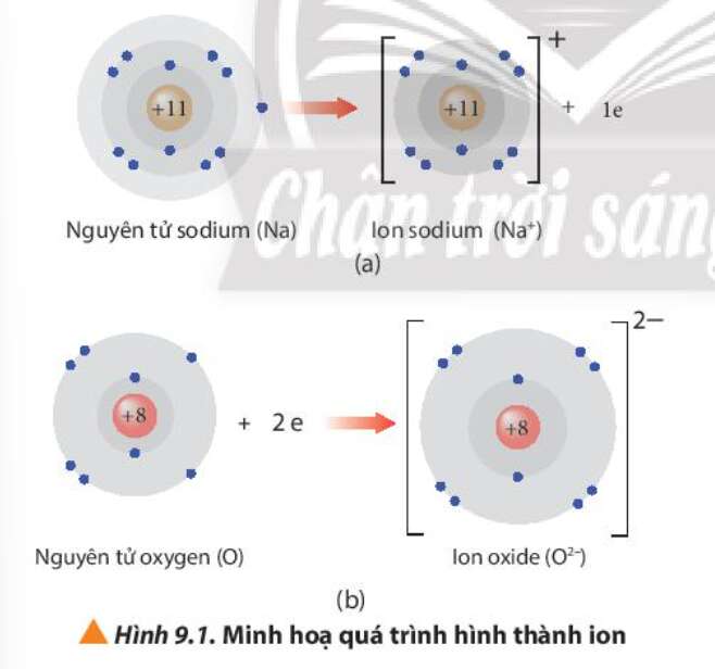  (ảnh 3)