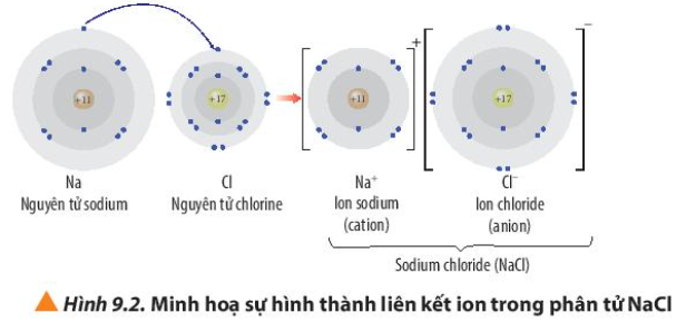  (ảnh 4)