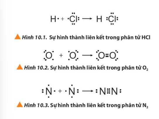  (ảnh 2)