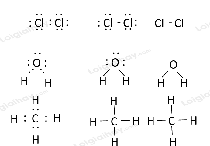  (ảnh 5)