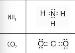  (ảnh 12)