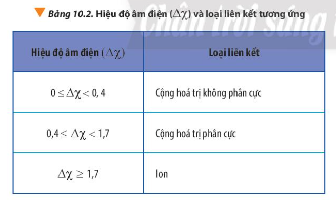  (ảnh 13)