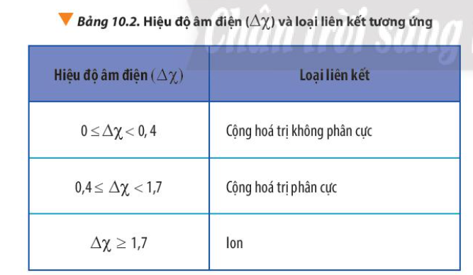  (ảnh 14)