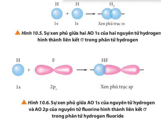  (ảnh 15)