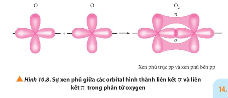  (ảnh 19)