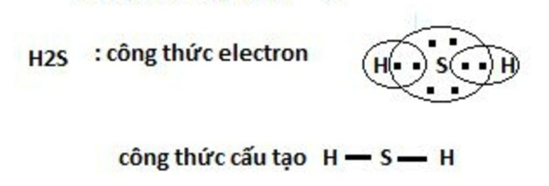  (ảnh 24)