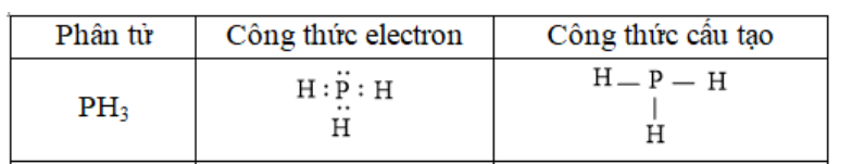  (ảnh 25)