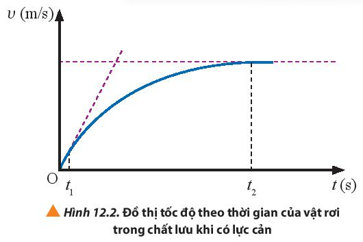 Vật Lí 10 Bài 12: Chuyển động của vật trong chất lưu | Giải Lí 10 Chân trời sáng tạo (ảnh 1)