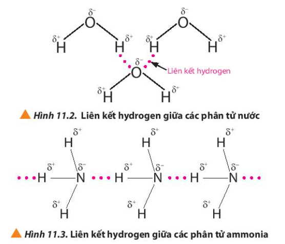  (ảnh 2)