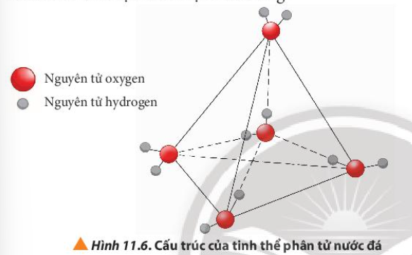  (ảnh 3)