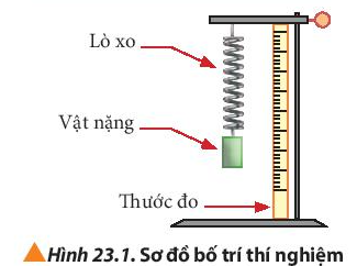 Vật Lí 10 Bài 23: Định luật Hooke | Giải Lí 10 Chân trời sáng tạo (ảnh 1)