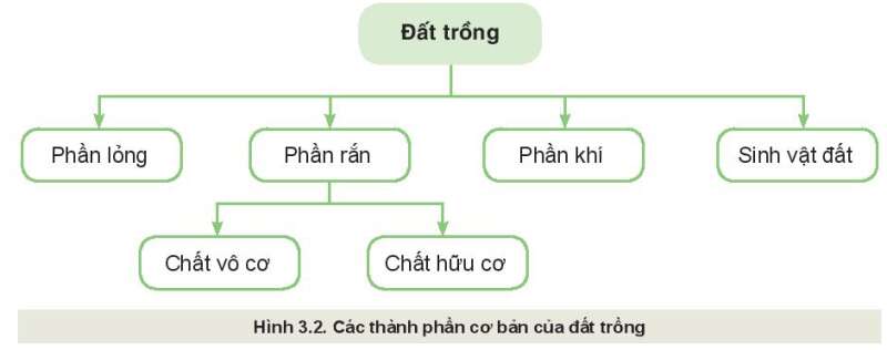 Công nghệ 10 Bài 3: Giới thiệu về đất trồng | Kết nối tri thức (ảnh 1)