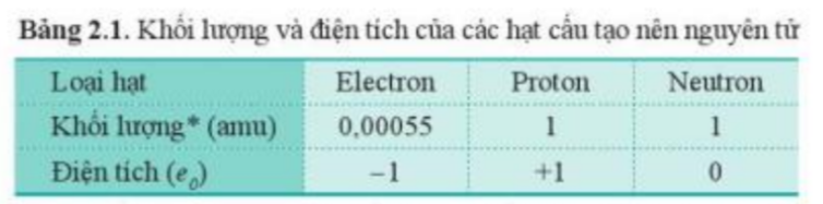  (ảnh 3)