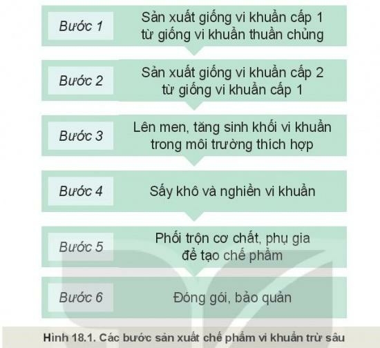 Công nghệ 10 Bài 18: Ứng dụng công nghệ vi sinh trong phòng trừ sâu, bệnh hại cây trồng | Kết nối tri thức (ảnh 1)