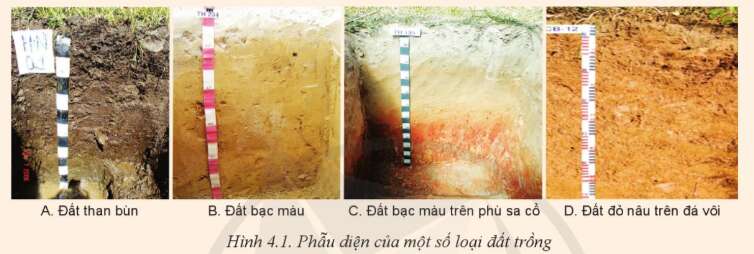 Công nghệ 10 Bài 4: Thành phần và tính chất của đất trồng | Cánh diều (ảnh 1)