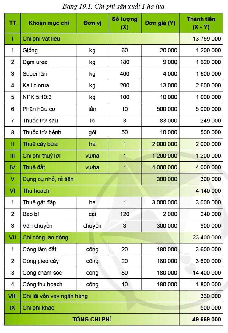 Công nghệ 10 Bài 19: Lập kế hoạch và tính toán chi phí trồng trọt | Cánh diều (ảnh 1)