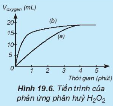  (ảnh 4)