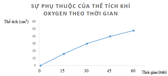 Hóa học 10 Bài 20: Ôn tập chương 6 | Giải Hóa 10 Kết nối tri thức (ảnh 1)