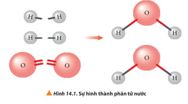  (ảnh 2)