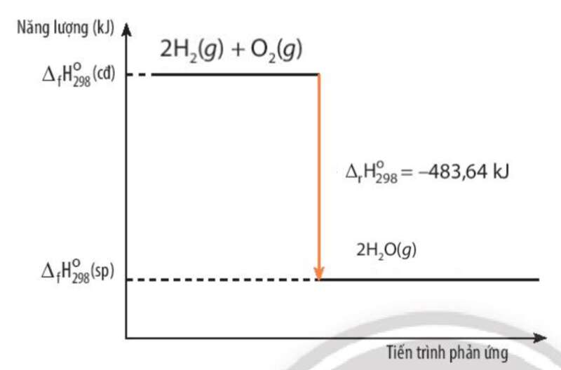  (ảnh 13)