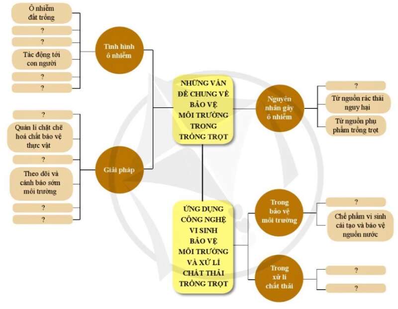 Công nghệ 10 Ôn tập chủ đề 8: Bảo vệ môi trường trong trồng trọt | Cánh diều (ảnh 2)