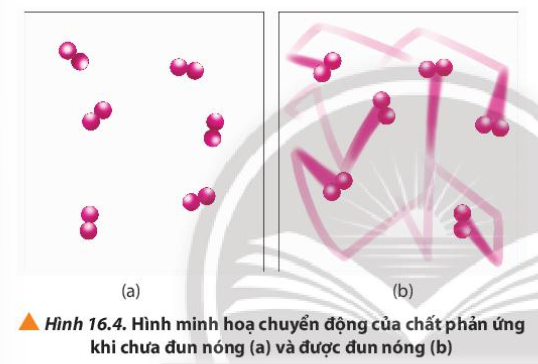  (ảnh 5)