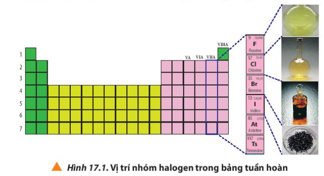  (ảnh 2)