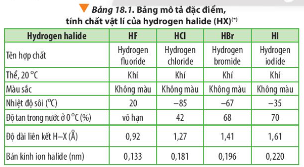  (ảnh 2)